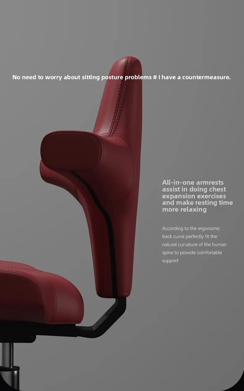 CEO riding a horse, computer chair, ergonomic chair, backrest, office boss, home chair