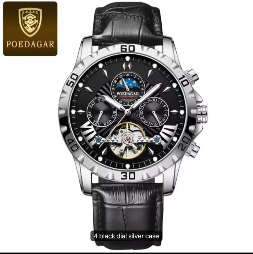 POEDAGAR 1410 Male Waterproof Date Leather Men's Wristwatch Automatic Luxury Men Watches Business Wristwatches Mechanical Watch